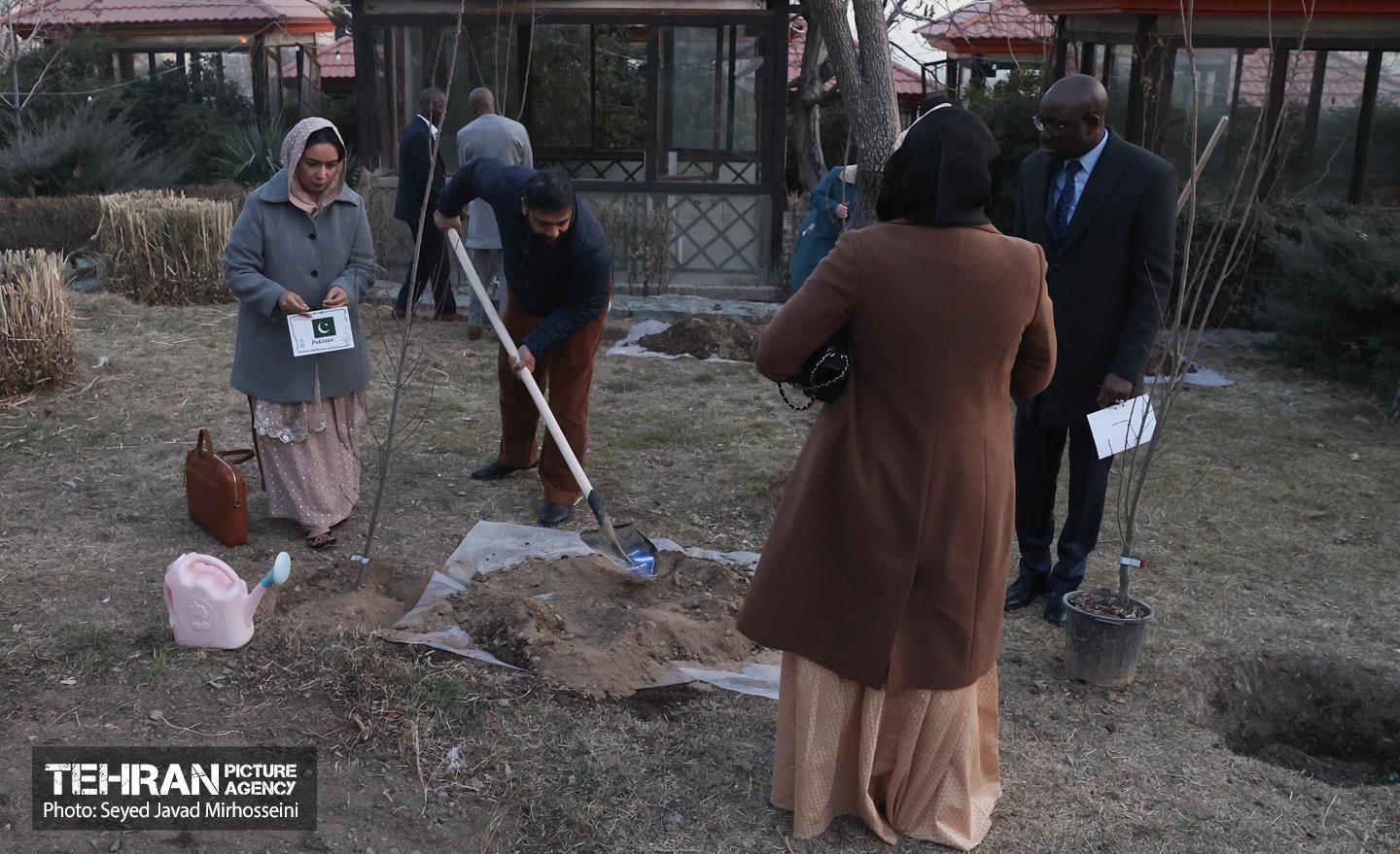 مراسم سومین آیین کاشت نهال صلح و دوستی 32