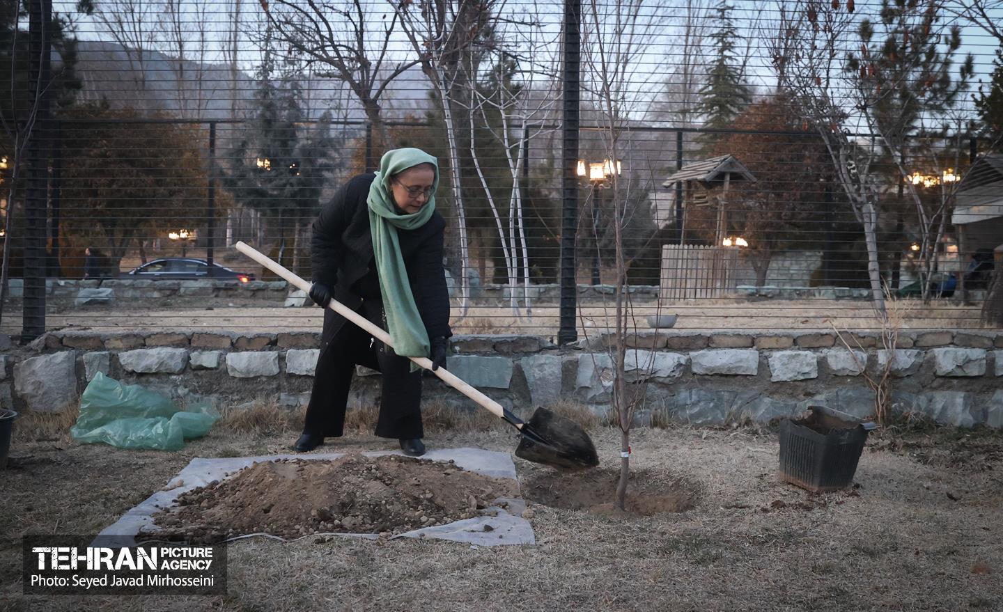 مراسم سومین آیین کاشت نهال صلح و دوستی 33