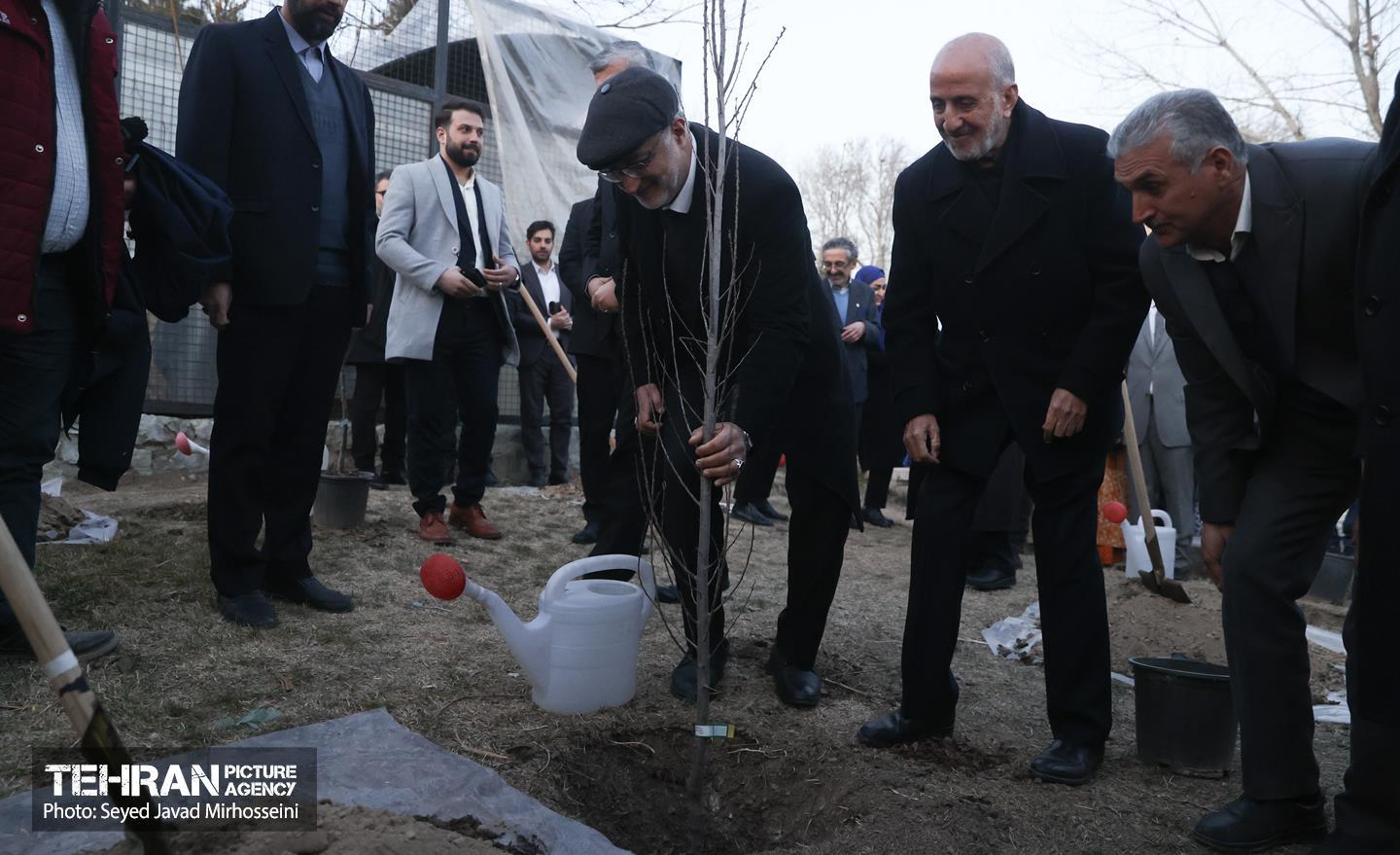 مراسم سومین آیین کاشت نهال صلح و دوستی 37